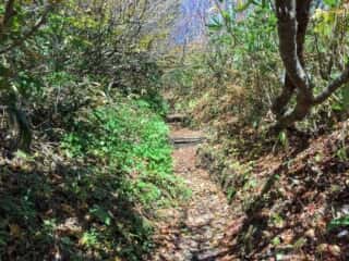 岩木山登山道