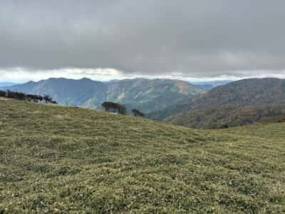 土佐矢筈山・小桧曽山
