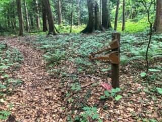恐山 (大尽山) 登山道