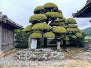 四国八十八ヶ所霊場 第15番札所 国分寺