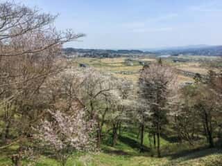 中尊寺の景色