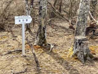 石投山 黒森山 登山道