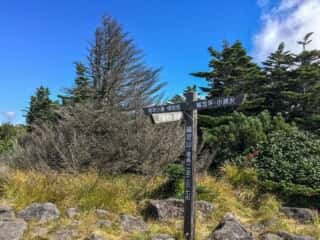 権現岳登山道