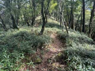 矢筈山・石堂山