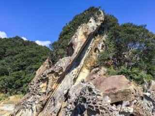 竜串海岸の奇石