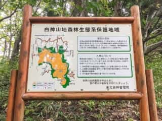 白神山地森林生態系保護地域