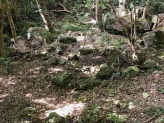 坂谷神社（鳥取県）の環状列石？