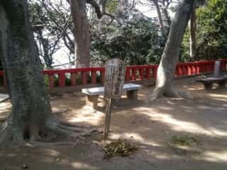 織幡宮　小賀玉木