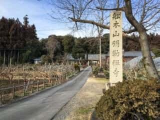 船来山弥勒禅寺 (伊久良河宮比定地)