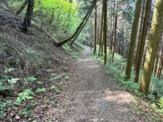 四国八十八ヶ所霊場 第66番札所 雲辺寺〜第67番札所 大興寺