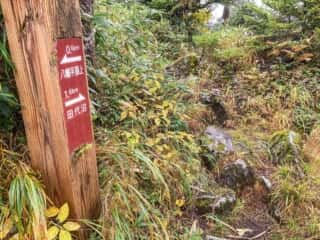 八幡平登山道