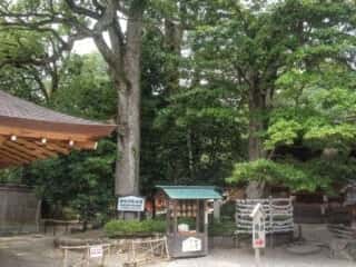 籠神社　境内