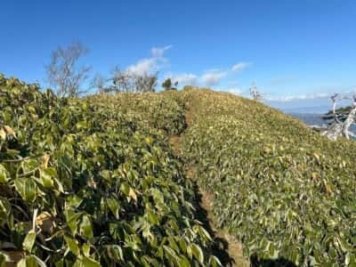 一ノ森・槍戸山