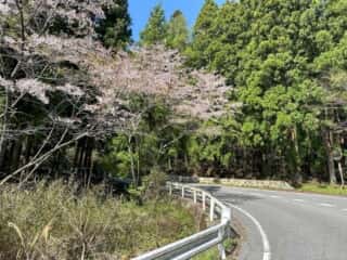 四国八十八ヶ所霊場 第44番札所 大寶寺〜第45番札所 岩屋寺