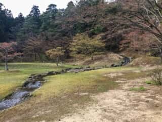毛越寺の庭