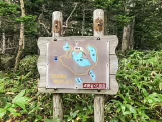知床五湖 地上遊歩道