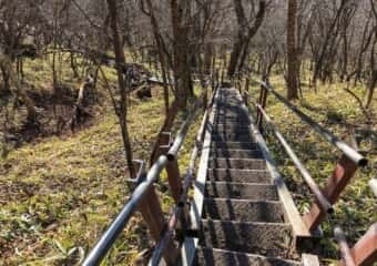 駒ケ岳 登山道