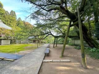 四国八十八ヶ所霊場 第65番札所 三角寺