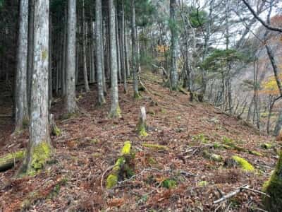 寒峰・烏帽子山