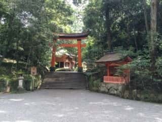 宇佐神宮　鳥居と参道