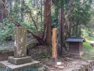 中尊寺　芭蕉翁句碑
