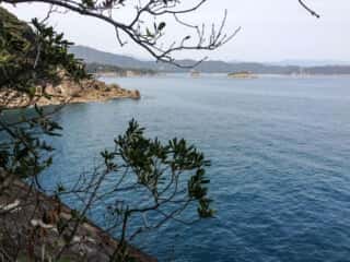 竹ヶ島から海を眺める