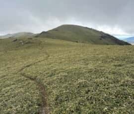 土佐矢筈山