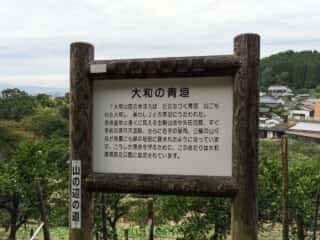 大神神社 大和の青垣