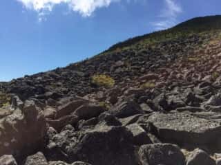 権現岳