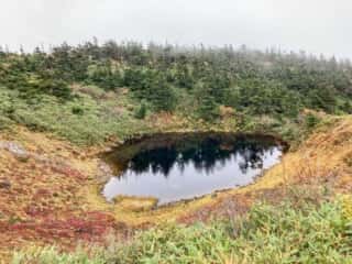 八幡平登山道