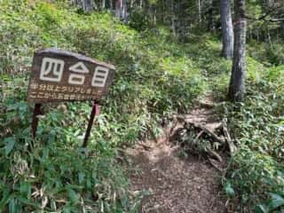 雄阿寒岳