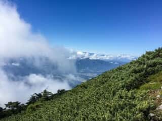 権現岳登山道