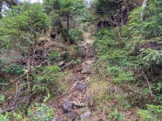 中岳登山道
