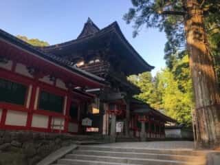石上神宮 楼門