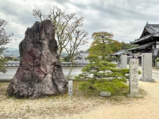 四国八十八ヶ所霊場 第56番札所 秦山寺