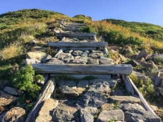 観光新道登山道　