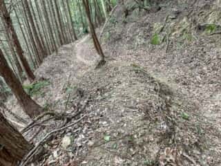 四国八十八ヶ所霊場 第58番札所 仙遊寺〜第59番札所 国分寺
