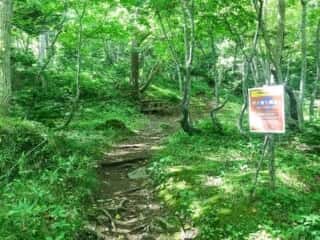 羅臼岳登山道