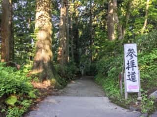 出羽三山神社 参拝道