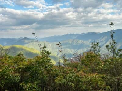 正善山