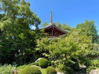 四国八十八ヶ所霊場 第6番札所 安楽寺