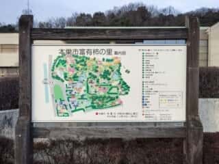 船来山　本巣市富有柿の里　 (伊久良河宮比定地)