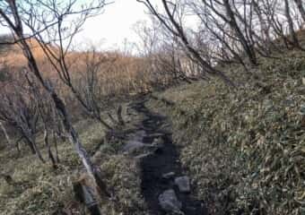 駒ケ岳 登山道