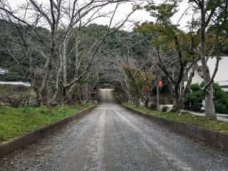 三船神社 参道