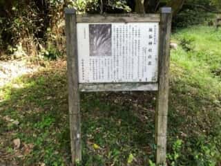 坂谷神社社叢　スダジイ林を主とする大規模な照葉樹林