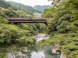 祖谷のかずら橋からの眺め