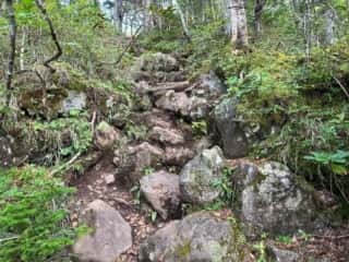 雄阿寒岳