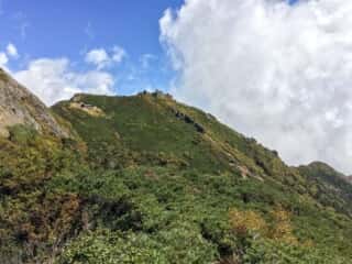 権現岳