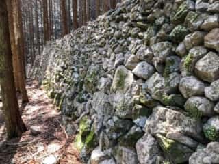 若杉山遺跡