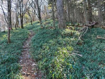 一ノ森・槍戸山